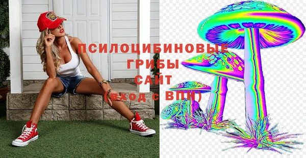шишки Балабаново