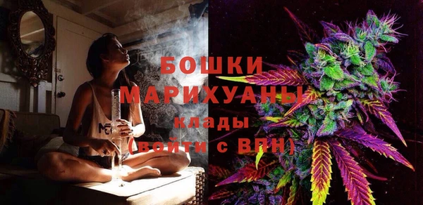шишки Балабаново