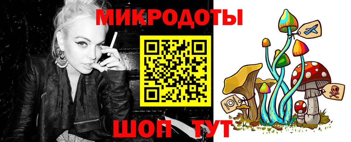 Псилоцибиновые грибы мицелий Петропавловск-Камчатский