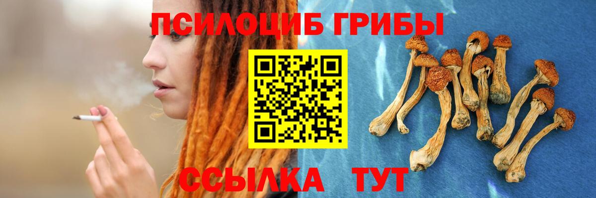 Петропавловск-Камчатский  Псилоцибиновые грибы Cubensis  Псилоцибиновые грибы Magic Shrooms  Вход с VPN 