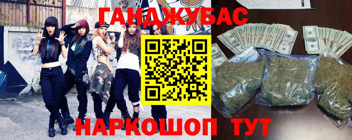 A PVP Петропавловск-Камчатский